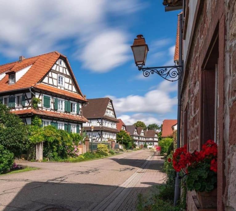 Au Petit Nid De Seebach Eksteriør billede